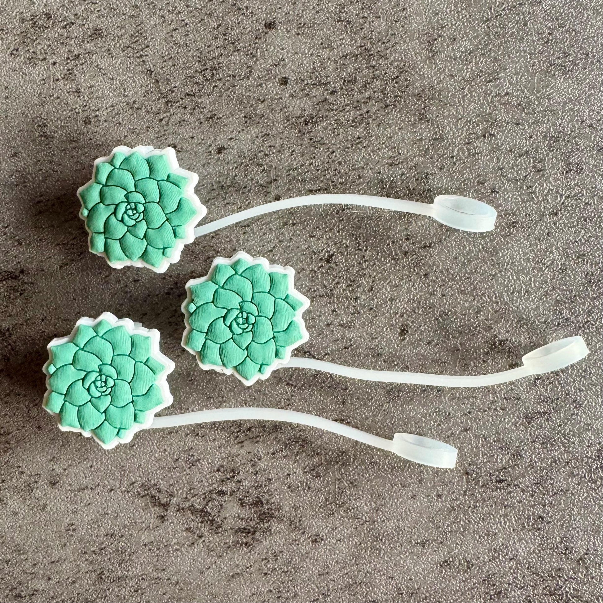 straw like succulent Succulent 10mm Straw Topper – Belle and Sage Co